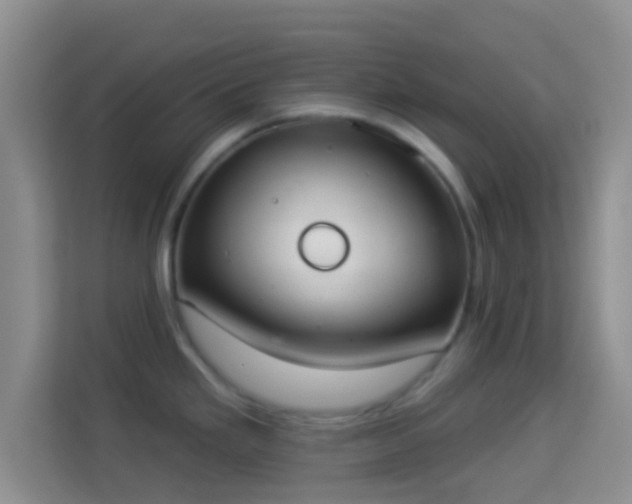 X0000113981293200910091310