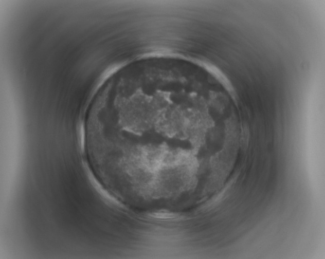 X0000113981295200910091310