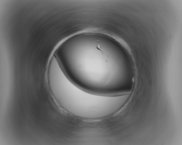 X0000113981296200910091310