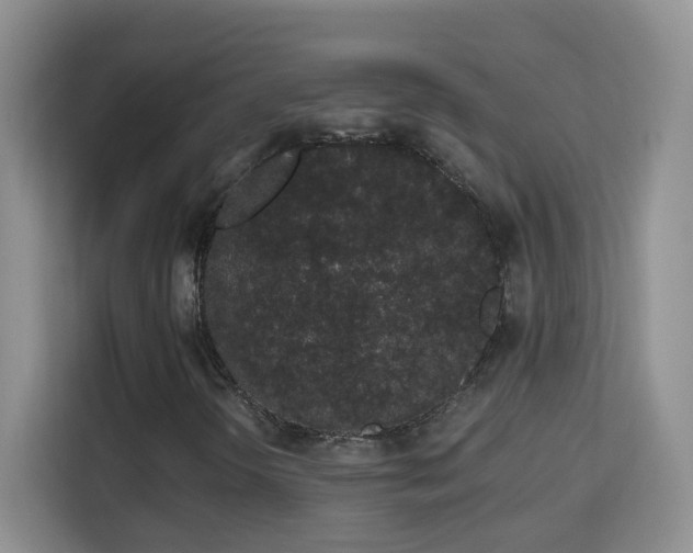 X0000113981298200910091309