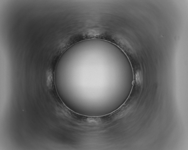 X0000113981299200910091309