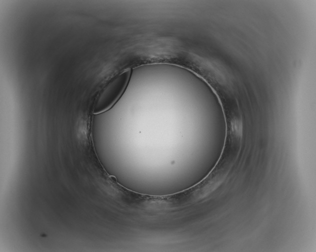 X0000113981300200910091309