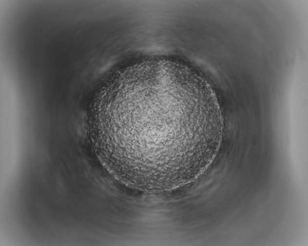 X0000113981301200910091309