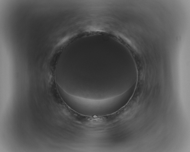 X0000113981303200910091310