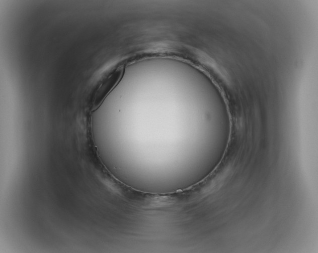 X0000113981304200910091310