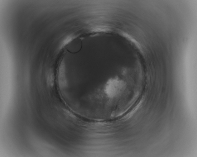 X0000113981306200910091310