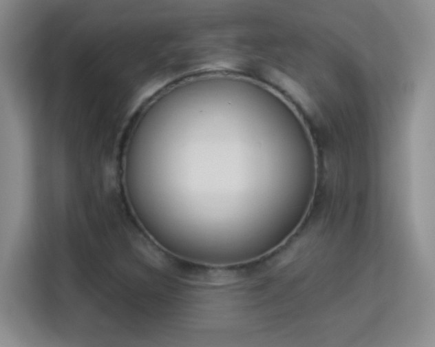 X0000113981308200910091310