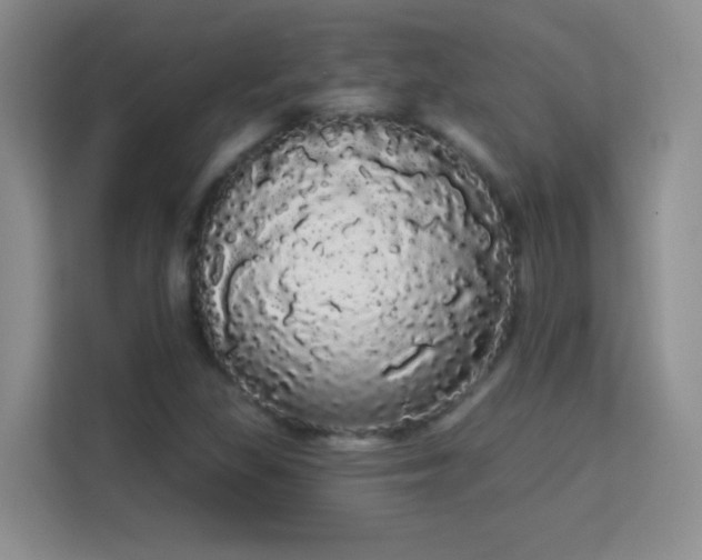 X0000113981309200910091310