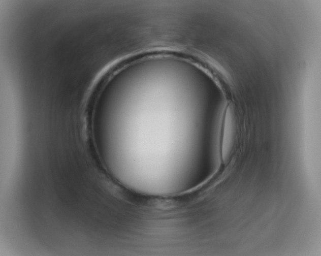 X0000113981310200910091310