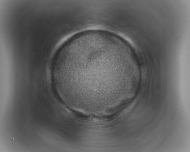 X0000113981311200910091310