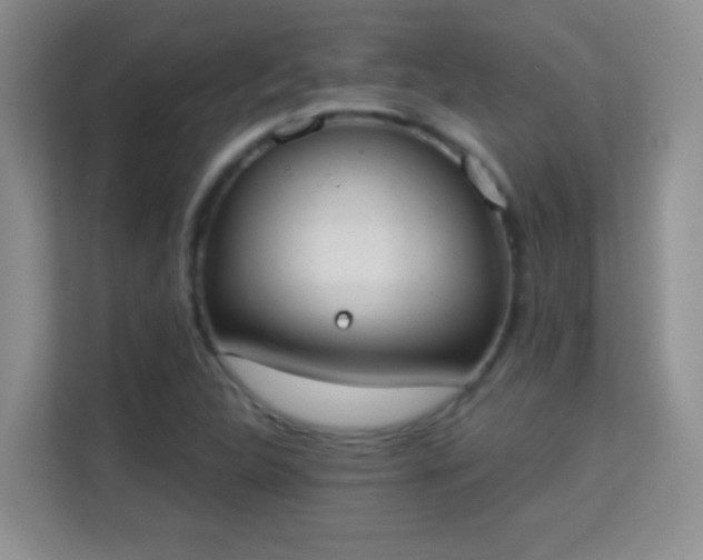 X0000113981312200910091310