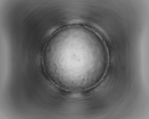 X0000113981313200910091310