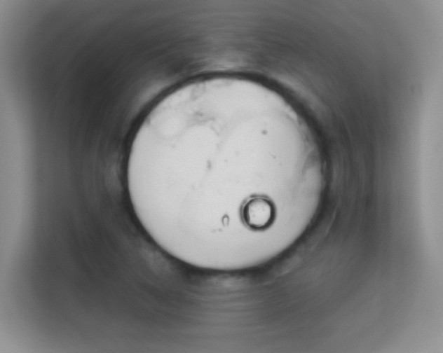 X0000113981314200910091310