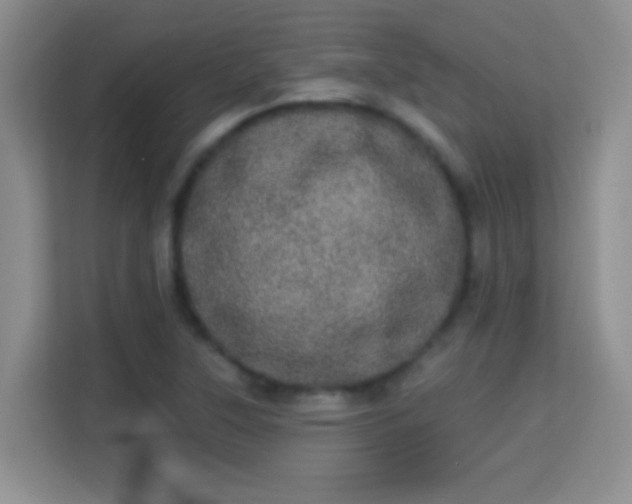 X0000113981315200910091310