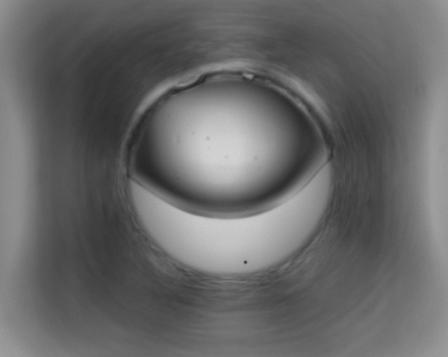 X0000113981316200910091310