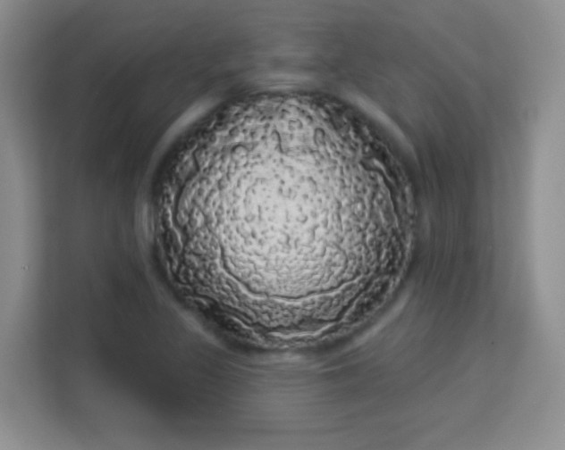 X0000113981317200910091310