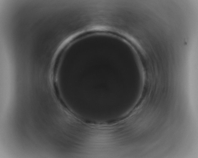 X0000113981319200910091310