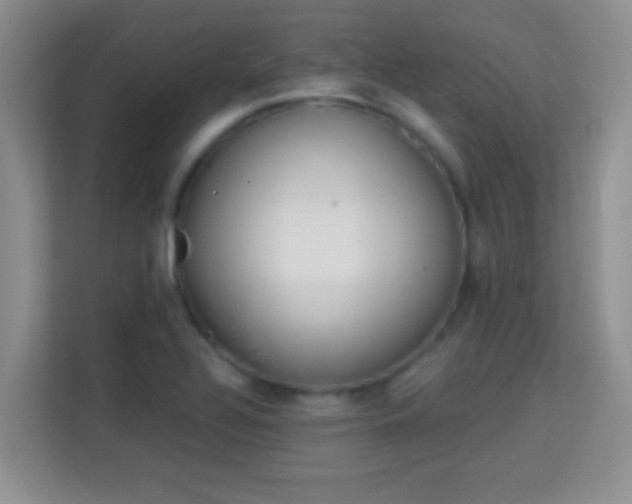 X0000113981320200910091310