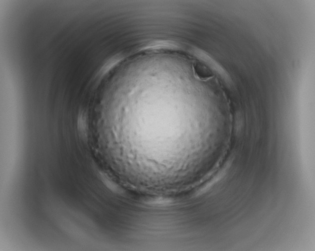 X0000113981321200910091310