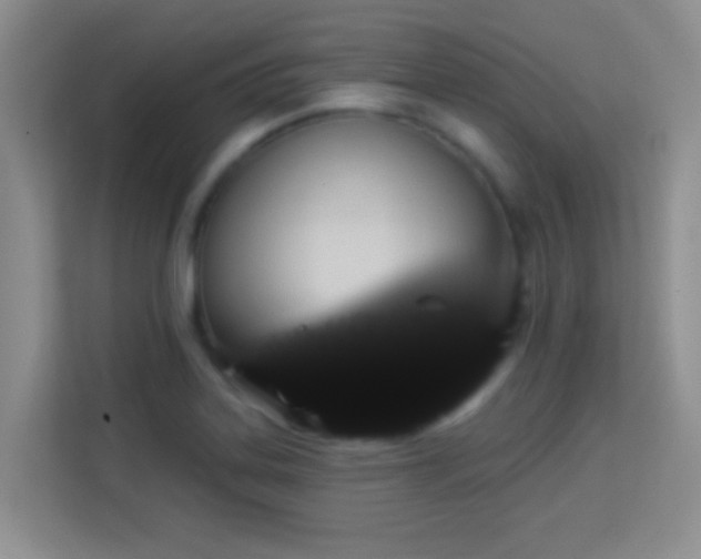 X0000113981323200910091310