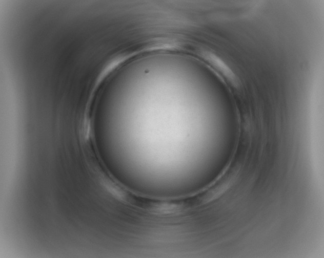 X0000113981324200910091310