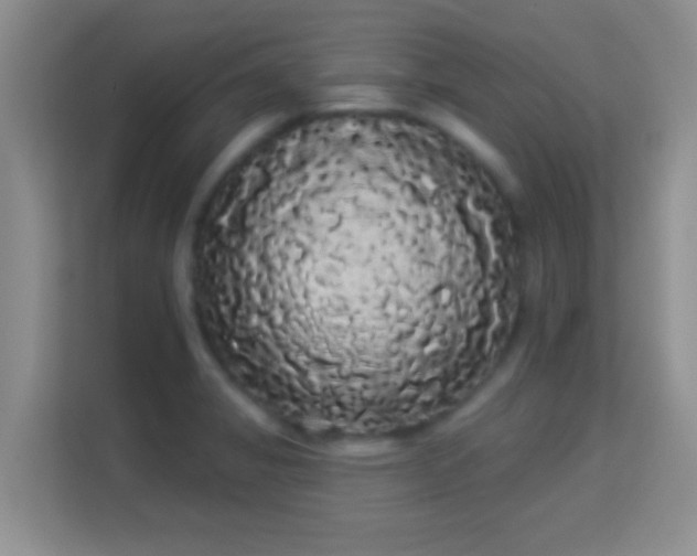 X0000113981325200910091310