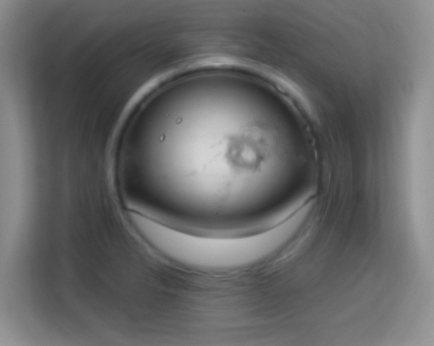 X0000113981326200910091310