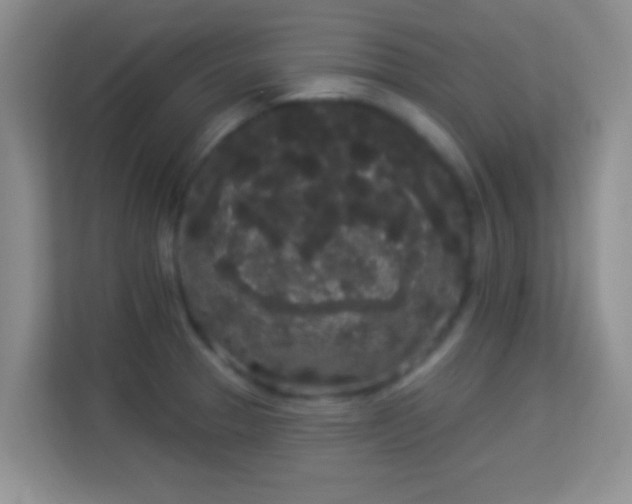 X0000113981329200910091310