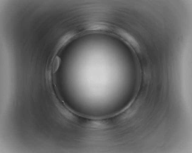 X0000113981330200910091310