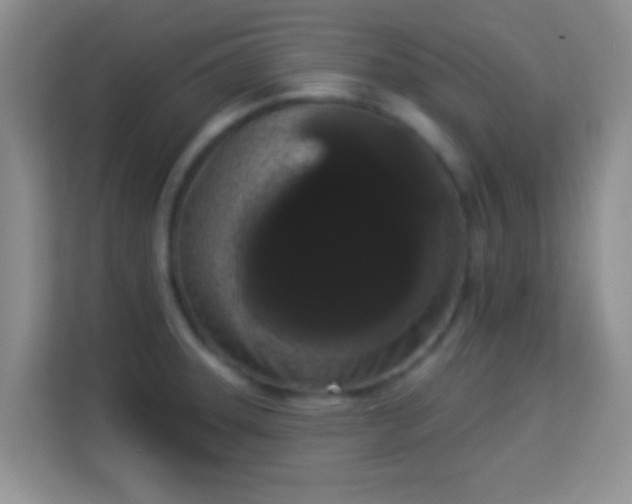 X0000113981331200910091310