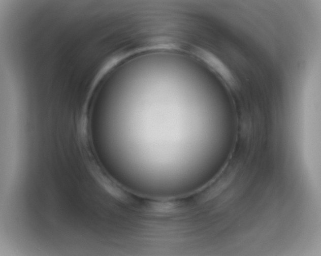 X0000113981332200910091310