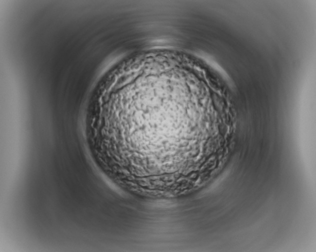 X0000113981333200910091310