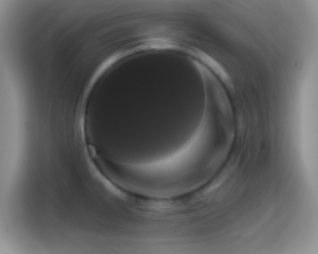 X0000113981334200910091310