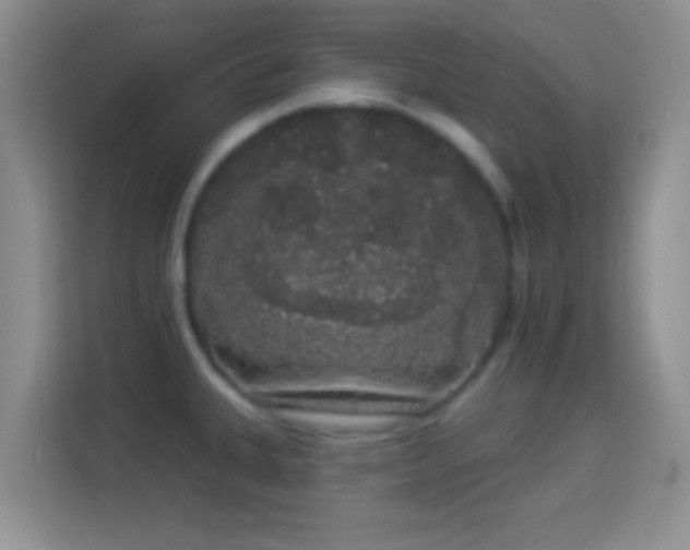 X0000113981335200910091310