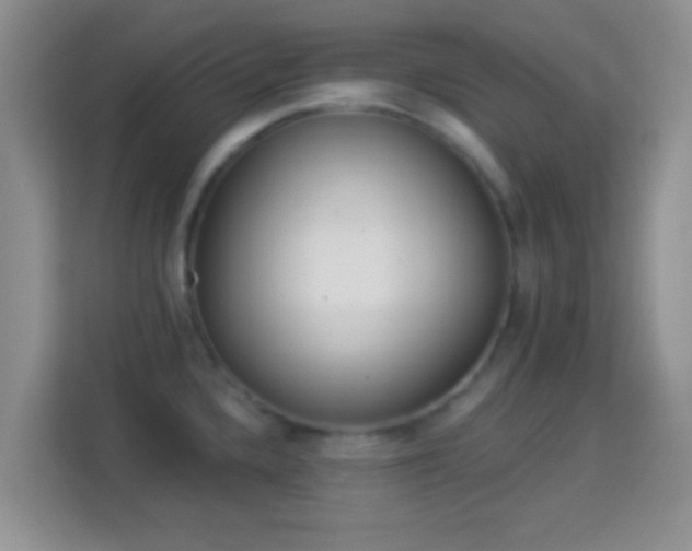 X0000113981336200910091310