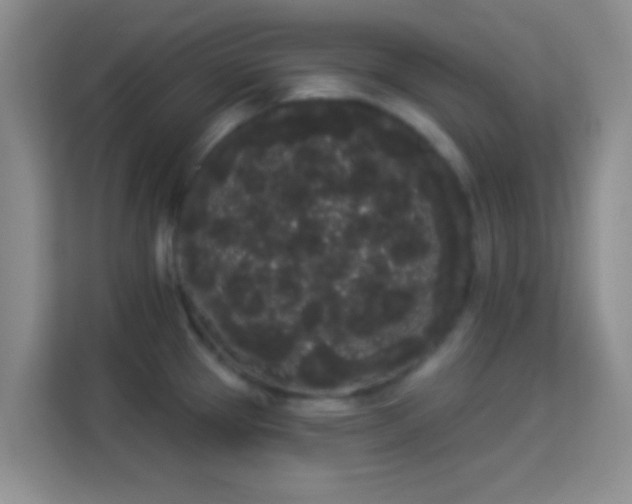 X0000113981337200910091310