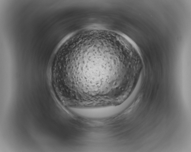 X0000113981341200910091310