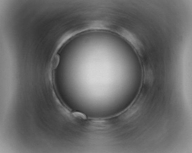 X0000113981342200910091310