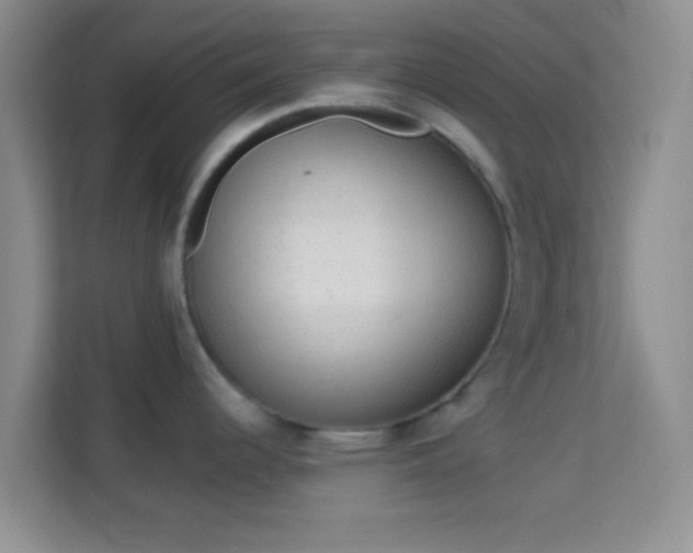 X0000113981344200910091310