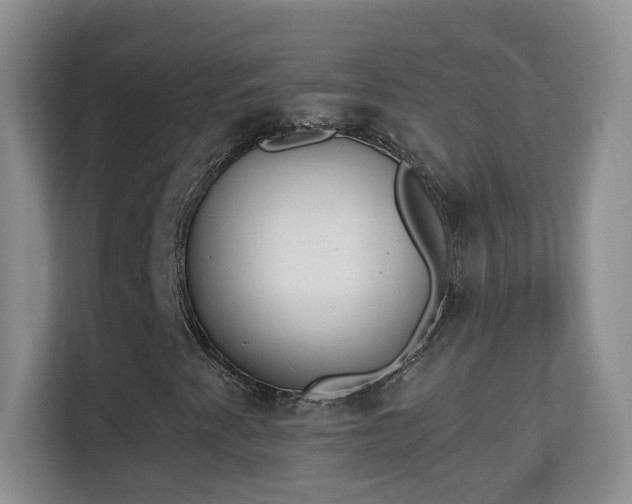 X0000113981345200910091309