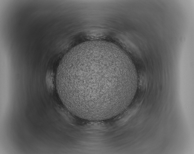 X0000113981346200910091309