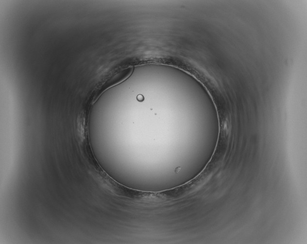 X0000113981348200910091309