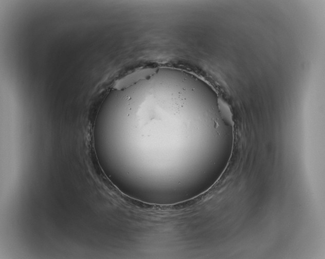 X0000113981349200910091309