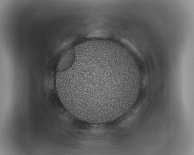 X0000113981350200910091309