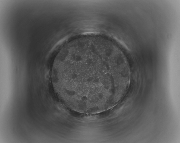 X0000113981351200910091309