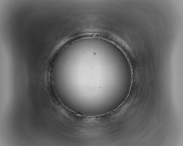 X0000113981352200910091309