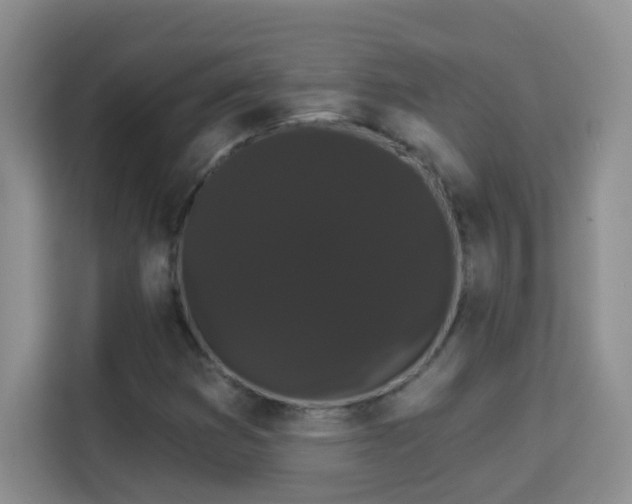 X0000113981353200910091309