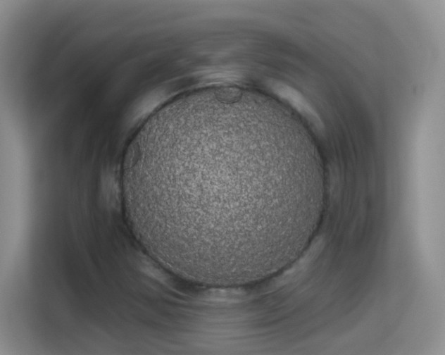 X0000113981354200910091309