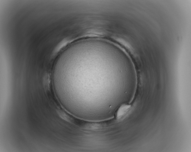 X0000113981355200910091309