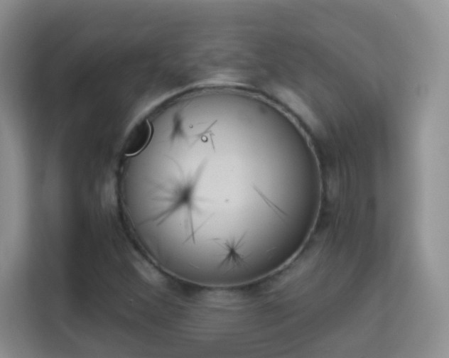 X0000113981356200910091309